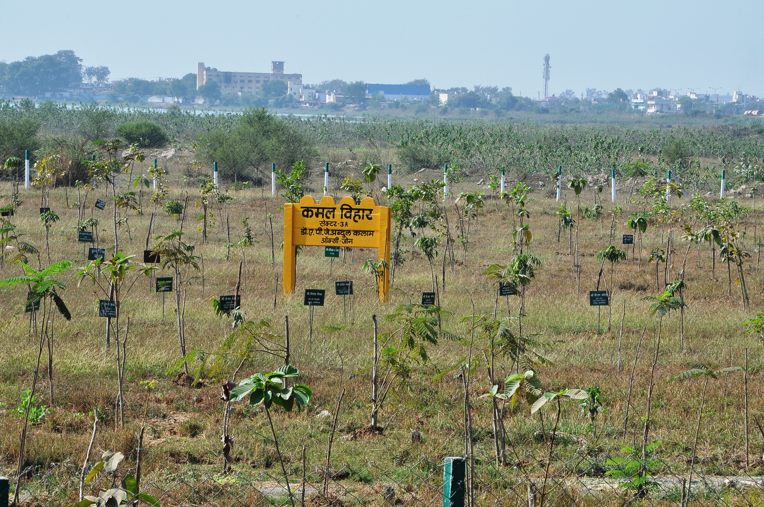 Kaushalya Mata Vihar Sectors